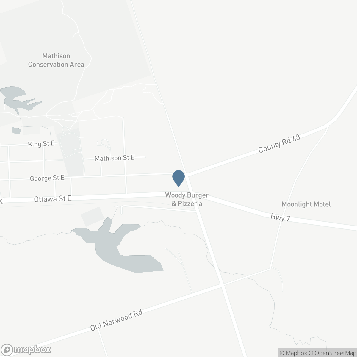 98 GEORGE STREET E, Havelock-Belmont-Methuen, Ontario K0L 1Z0